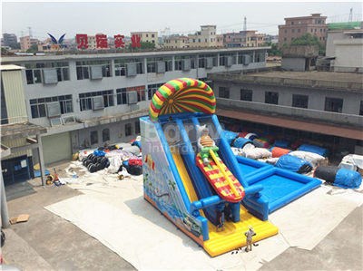 Trending Products 2018 New Arrivals Commercial Grade Inflatable Slide  BY-DS-102